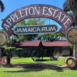 appleton estate rum tour st elizabeth